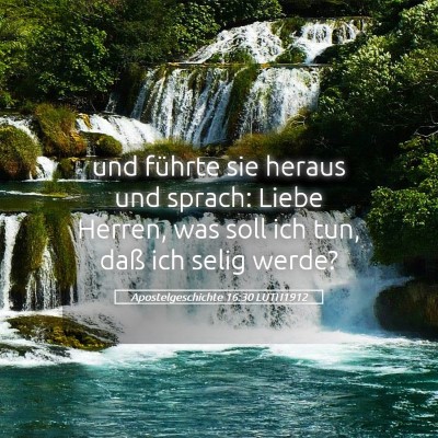 Picture 05 - Apostelgeschichte 16:30 LUTH1912 - und führte sie heraus und sprach: Liebe Herren, - Bible Verse Picture
