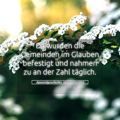 Picture 05 - Apostelgeschichte 16:5 LUTH1912 - Da wurden die Gemeinden im Glauben befestigt und - Bible Verse Picture