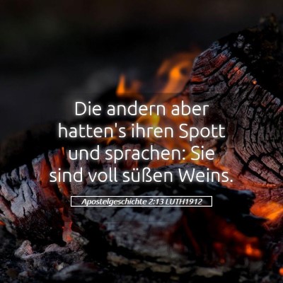 Picture 05 - Apostelgeschichte 2:13 LUTH1912 - Die andern aber hatten's ihren Spott und - Bible Verse Picture