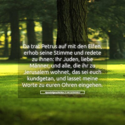 Picture 05 - Apostelgeschichte 2:14 LUTH1912 - Da trat Petrus auf mit den Elfen, erhob seine - Bible Verse Picture