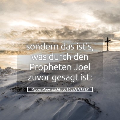 Picture 05 - Apostelgeschichte 2:16 LUTH1912 - sondern das ist's, was durch den Propheten Joel - Bible Verse Picture