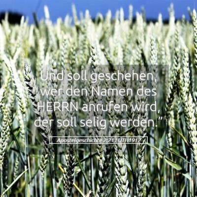 Picture 05 - Apostelgeschichte 2:21 LUTH1912 - Und soll geschehen, wer den Namen des HERRN - Bible Verse Picture