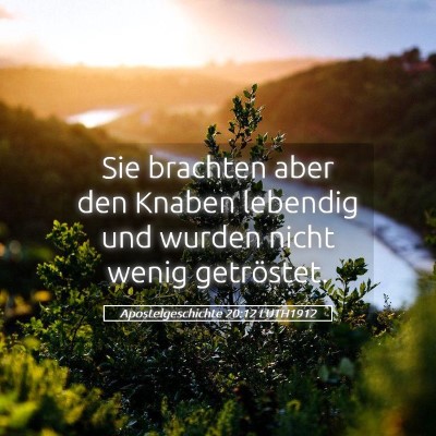 Picture 05 - Apostelgeschichte 20:12 LUTH1912 - Sie brachten aber den Knaben lebendig und wurden - Bible Verse Picture