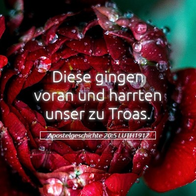 Picture 05 - Apostelgeschichte 20:5 LUTH1912 - Diese gingen voran und harrten unser zu - Bible Verse Picture
