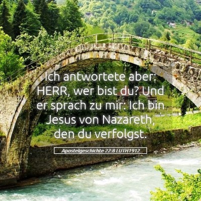 Picture 05 - Apostelgeschichte 22:8 LUTH1912 - Ich antwortete aber: HERR, wer bist du? Und er - Bible Verse Picture