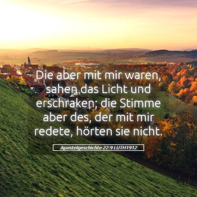 Picture 05 - Apostelgeschichte 22:9 LUTH1912 - Die aber mit mir waren, sahen das Licht und - Bible Verse Picture