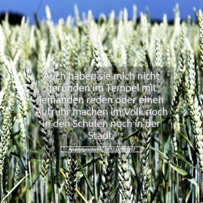 Picture 05 - Apostelgeschichte 24:12 LUTH1912 - Auch haben sie mich nicht gefunden im Tempel mit - Bible Verse Picture