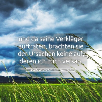Picture 05 - Apostelgeschichte 25:18 LUTH1912 - und da seine Verkläger auftraten, brachten sie - Bible Verse Picture