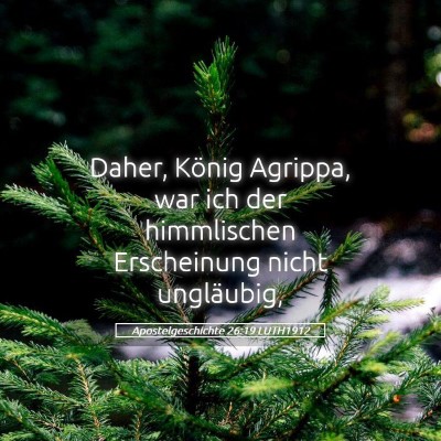 Picture 05 - Apostelgeschichte 26:19 LUTH1912 - Daher, König Agrippa, war ich der himmlischen - Bible Verse Picture