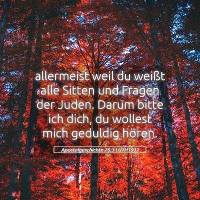 Picture 05 - Apostelgeschichte 26:3 LUTH1912 - allermeist weil du weißt alle Sitten und Fragen - Bible Verse Picture