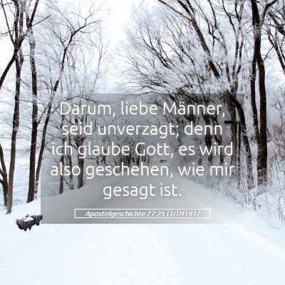 Picture 05 - Apostelgeschichte 27:25 LUTH1912 - Darum, liebe Männer, seid unverzagt; denn ich - Bible Verse Picture