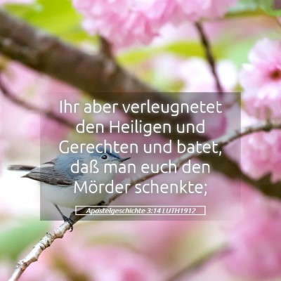Picture 05 - Apostelgeschichte 3:14 LUTH1912 - Ihr aber verleugnetet den Heiligen und Gerechten - Bible Verse Picture