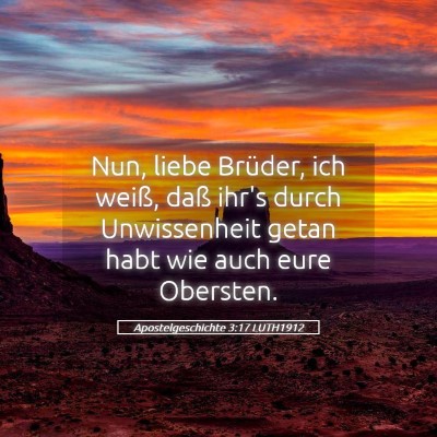 Picture 05 - Apostelgeschichte 3:17 LUTH1912 - Nun, liebe Brüder, ich weiß, daß ihr's durch - Bible Verse Picture