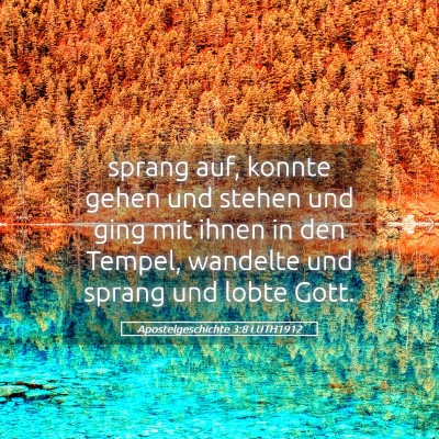 Picture 05 - Apostelgeschichte 3:8 LUTH1912 - sprang auf, konnte gehen und stehen und ging mit - Bible Verse Picture