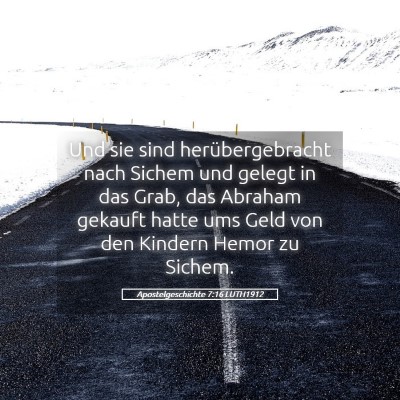 Picture 05 - Apostelgeschichte 7:16 LUTH1912 - Und sie sind herübergebracht nach Sichem und - Bible Verse Picture