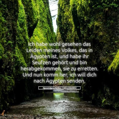 Picture 05 - Apostelgeschichte 7:34 LUTH1912 - Ich habe wohl gesehen das Leiden meines Volkes, - Bible Verse Picture