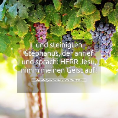 Picture 05 - Apostelgeschichte 7:59 LUTH1912 - und steinigten Stephanus, der anrief und sprach: - Bible Verse Picture
