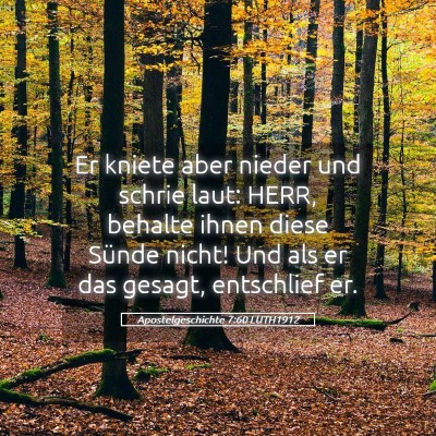 Picture 05 - Apostelgeschichte 7:60 LUTH1912 - Er kniete aber nieder und schrie laut: HERR, - Bible Verse Picture