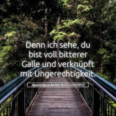 Picture 05 - Apostelgeschichte 8:23 LUTH1912 - Denn ich sehe, du bist voll bitterer Galle und - Bible Verse Picture