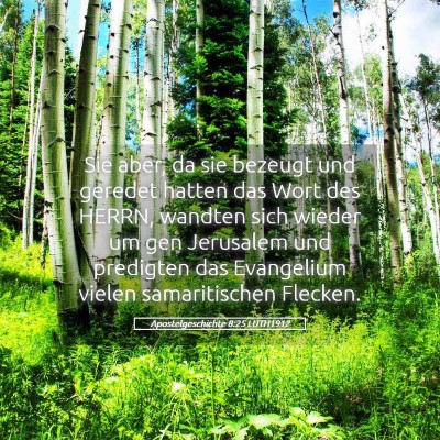 Picture 05 - Apostelgeschichte 8:25 LUTH1912 - Sie aber, da sie bezeugt und geredet hatten das - Bible Verse Picture