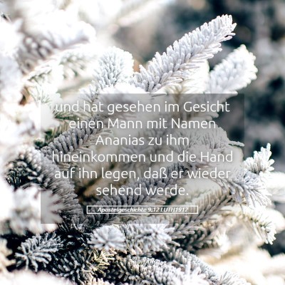Picture 05 - Apostelgeschichte 9:12 LUTH1912 - und hat gesehen im Gesicht einen Mann mit Namen - Bible Verse Picture