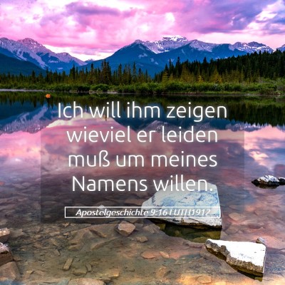 Picture 05 - Apostelgeschichte 9:16 LUTH1912 - Ich will ihm zeigen wieviel er leiden muß um - Bible Verse Picture