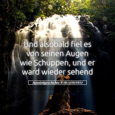 Picture 05 - Apostelgeschichte 9:18 LUTH1912 - Und alsobald fiel es von seinen Augen wie - Bible Verse Picture
