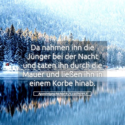 Picture 05 - Apostelgeschichte 9:25 LUTH1912 - Da nahmen ihn die Jünger bei der Nacht und taten - Bible Verse Picture