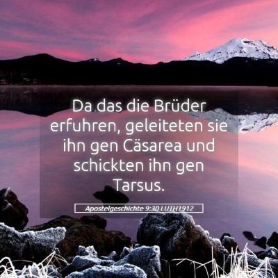 Picture 05 - Apostelgeschichte 9:30 LUTH1912 - Da das die Brüder erfuhren, geleiteten sie ihn - Bible Verse Picture