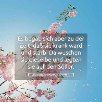 Picture 05 - Apostelgeschichte 9:37 LUTH1912 - Es begab sich aber zu der Zeit, daß sie krank - Bible Verse Picture