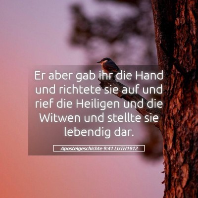 Picture 05 - Apostelgeschichte 9:41 LUTH1912 - Er aber gab ihr die Hand und richtete sie auf und - Bible Verse Picture