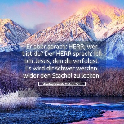 Picture 05 - Apostelgeschichte 9:5 LUTH1912 - Er aber sprach: HERR, wer bist du? Der HERR - Bible Verse Picture