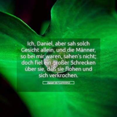 Picture 05 - Daniel 10:7 LUTH1912 - Ich, Daniel, aber sah solch Gesicht allein, und - Bible Verse Picture