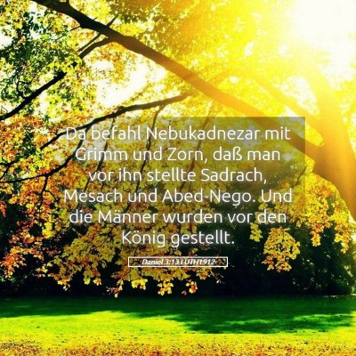 Picture 05 - Daniel 3:13 LUTH1912 - Da befahl Nebukadnezar mit Grimm und Zorn, daß - Bible Verse Picture