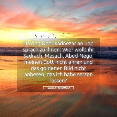 Picture 05 - Daniel 3:14 LUTH1912 - Da fing Nebukadnezar an und sprach zu ihnen: Wie? - Bible Verse Picture