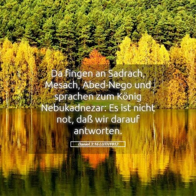 Picture 05 - Daniel 3:16 LUTH1912 - Da fingen an Sadrach, Mesach, Abed-Nego und - Bible Verse Picture