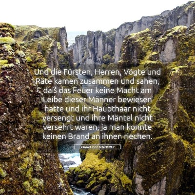 Picture 05 - Daniel 3:27 LUTH1912 - Und die Fürsten, Herren, Vögte und Räte kamen - Bible Verse Picture