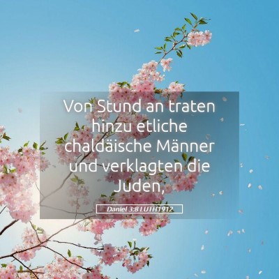 Picture 05 - Daniel 3:8 LUTH1912 - Von Stund an traten hinzu etliche chaldäische - Bible Verse Picture
