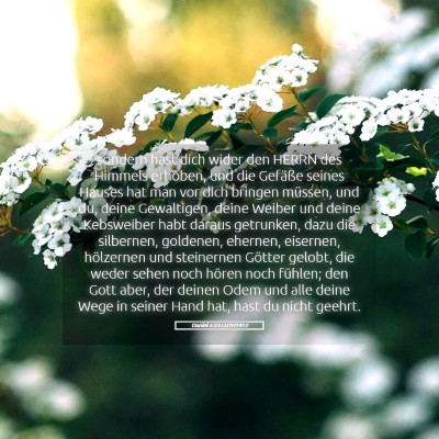 Picture 05 - Daniel 5:23 LUTH1912 - sondern hast dich wider den HERRN des Himmels - Bible Verse Picture