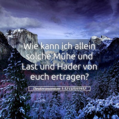 Picture 05 - Deuteronomium 1:12 LUTH1912 - Wie kann ich allein solche Mühe und Last und - Bible Verse Picture