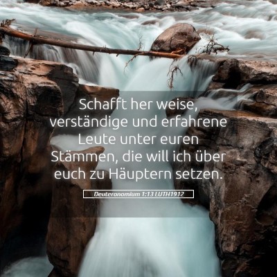 Picture 05 - Deuteronomium 1:13 LUTH1912 - Schafft her weise, verständige und erfahrene - Bible Verse Picture