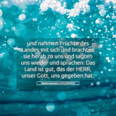 Picture 05 - Deuteronomium 1:25 LUTH1912 - und nahmen Früchte des Landes mit sich und - Bible Verse Picture