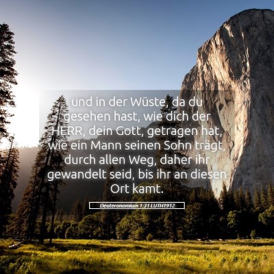 Picture 05 - Deuteronomium 1:31 LUTH1912 - und in der Wüste, da du gesehen hast, wie dich - Bible Verse Picture