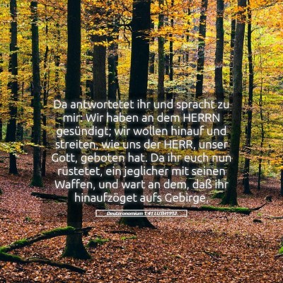 Picture 05 - Deuteronomium 1:41 LUTH1912 - Da antwortetet ihr und spracht zu mir: Wir haben - Bible Verse Picture