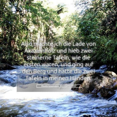 Picture 05 - Deuteronomium 10:3 LUTH1912 - Also machte ich die Lade von Akazienholz und hieb - Bible Verse Picture