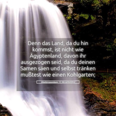 Picture 05 - Deuteronomium 11:10 LUTH1912 - Denn das Land, da du hin kommst, ist nicht wie - Bible Verse Picture