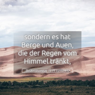 Picture 05 - Deuteronomium 11:11 LUTH1912 - sondern es hat Berge und Auen, die der Regen vom - Bible Verse Picture