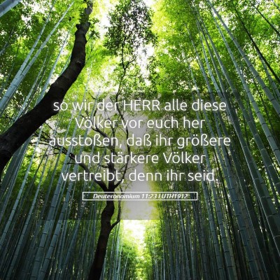 Picture 05 - Deuteronomium 11:23 LUTH1912 - so wir der HERR alle diese Völker vor euch her - Bible Verse Picture