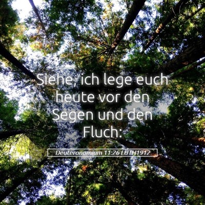 Picture 05 - Deuteronomium 11:26 LUTH1912 - Siehe, ich lege euch heute vor den Segen und den - Bible Verse Picture