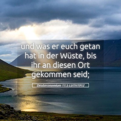 Picture 05 - Deuteronomium 11:5 LUTH1912 - und was er euch getan hat in der Wüste, bis ihr - Bible Verse Picture